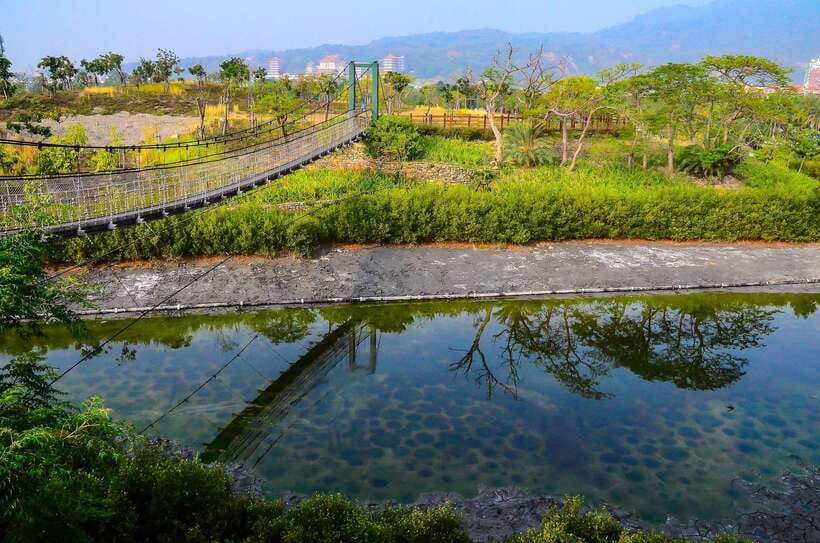 Kaohsiung: Private Walking Tour with a Local - Who will get the most from this Kaohsiung walk?