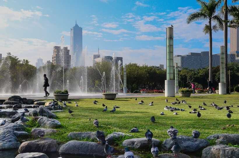 Kaohsiung: Private Walking Tour with a Local - Cancellation and booking details worth noting