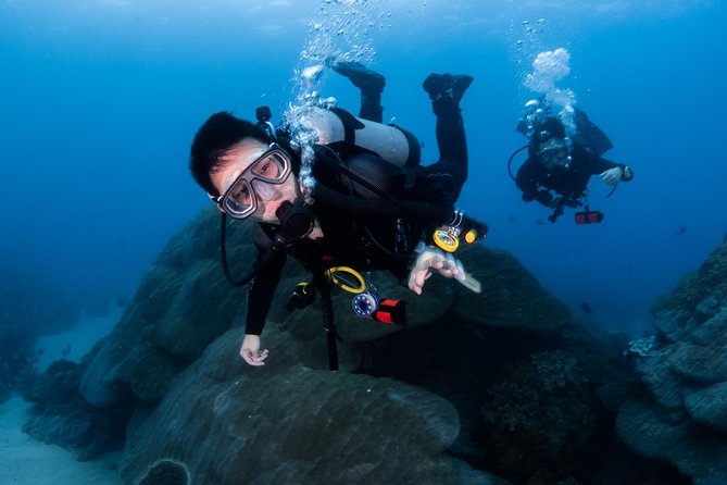 Kenting, Taiwan|PADI Basic Diving License Course|Taiwan Diving Open Water Course - The center, meals, and possible accommodation