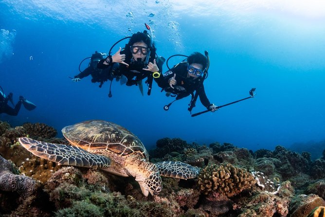 Kenting, Taiwan|PADI Basic Diving License Course|Taiwan Diving Open Water Course - Is $83 good value?