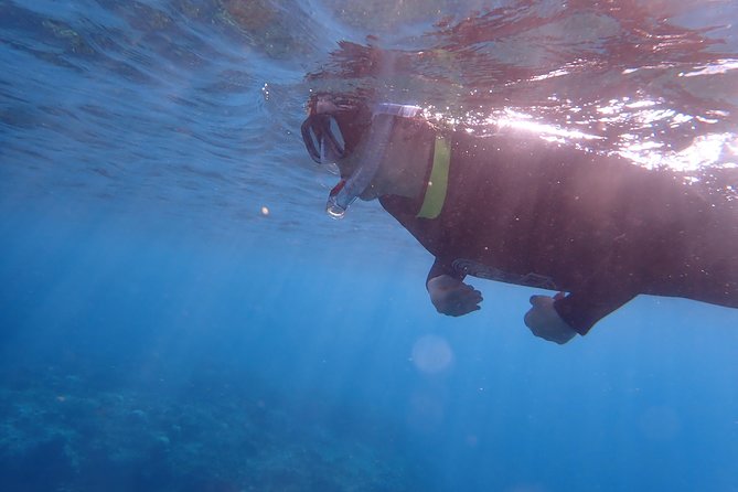 Kenting, Taiwan|Snorkeling Free underwater photography One-on-one with instructor|Taiwan Diving Snorkeling - Coral, Fish, and a Chance of a Turtle