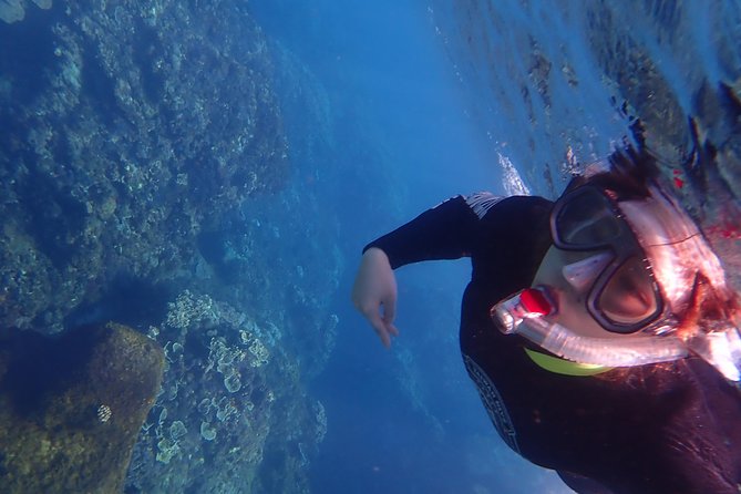 Kenting, Taiwan|Snorkeling Free underwater photography One-on-one with instructor|Taiwan Diving Snorkeling - Returning to the Shop for Your Certificate