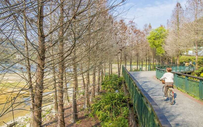 Nantou: Sun Moon Lake Combo - Starting with the famous lake bikeway