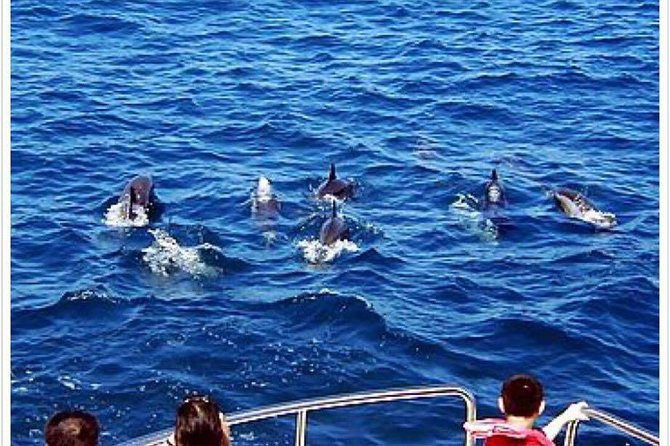 Northern Taiwan (Taipei, New Taipei City, Yilan County) 3-Day Tour - FAQ