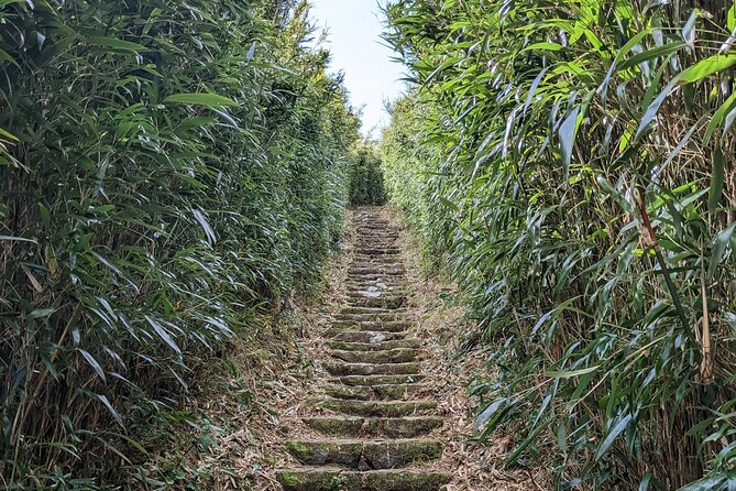 One Day Hike around Taipei's Yangmingshan National Park - Who Will Enjoy This Tour Most