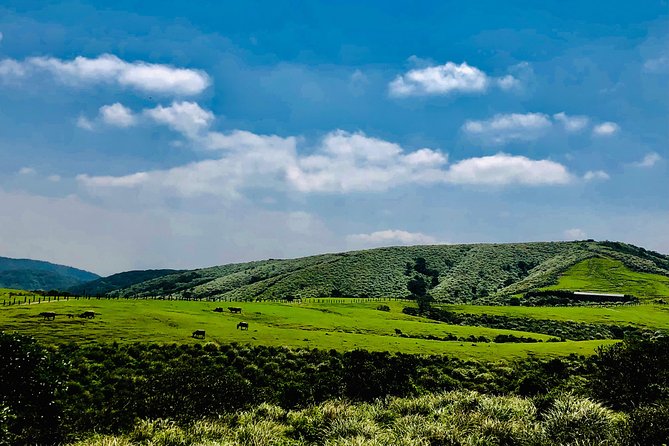 One-day private chartered car tour in Taipei: Yehliu, Jiufen, Pingxi, North Coast popular attractions with chartered car, professional Chinese/English driver - Shifen Waterfall: a short walk to moving water