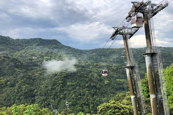 Pinglin Tea Culture & Maokong Day Tour from Taipei - Tea plants, Tieguanyin, and Baozhong