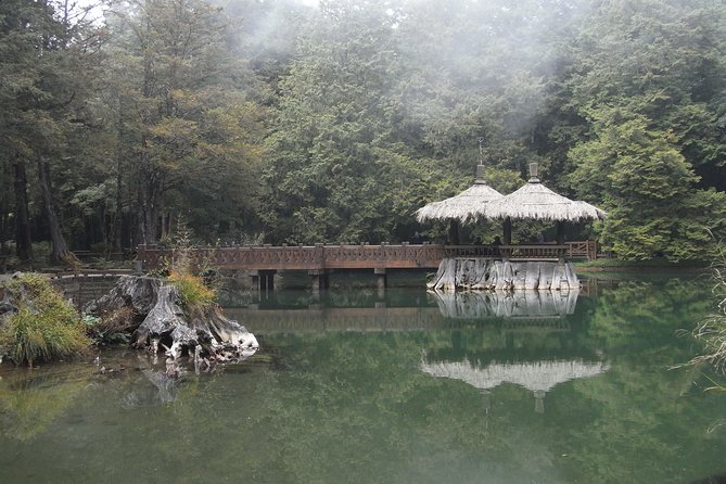 Private 3-Day Tour to Sun Moon Lake and Alishan - Guides, group size, and the private-tour question