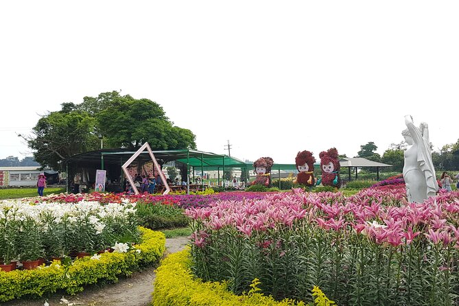 Private Day tour to Sun Moon Lake from Taipei - Guides who make the day easier