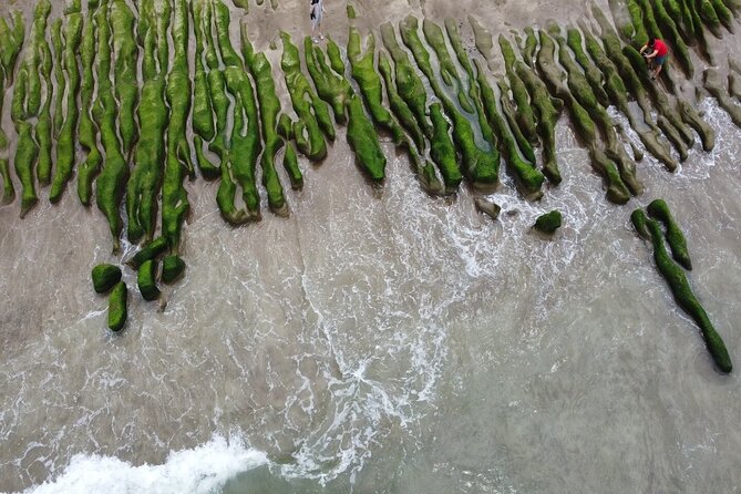 Private Laomei Green Reef Day Tour from Taipei - Why this northern coast day works