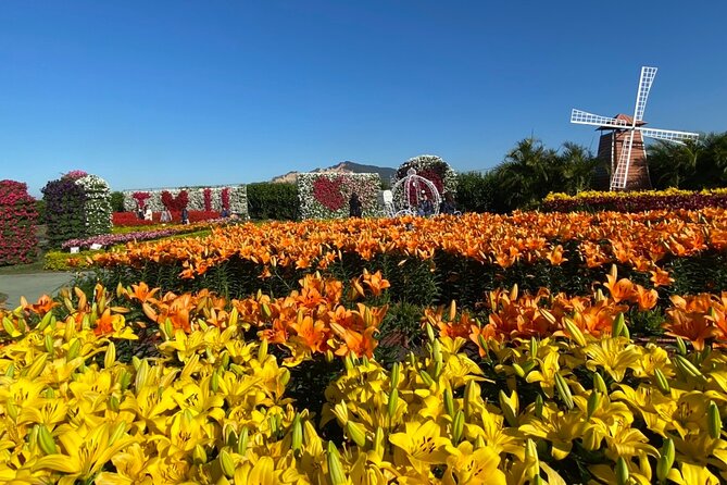 Private Taichung Instagram Day Tour from Taipei - Miyahara, from eye clinic to Hogwarts-like interior