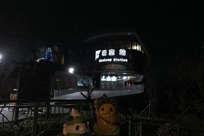 Private Tour to Maokon, Chih Nan Temple & Gondola Experience - Who will enjoy this Maokong outing most