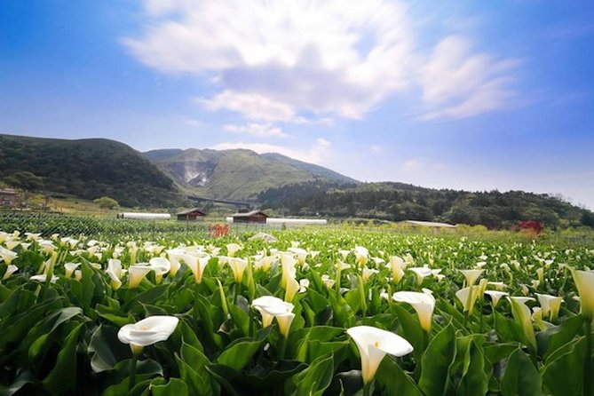 Private Yangmingshan & Beitou Tour from Taipei with Pickup - Why Yangmingshan makes a good break from Taipei