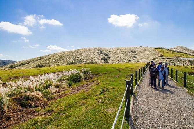 Private Yangmingshan & Beitou Tour from Taipei with Pickup - Is $272 good value for up to four people?