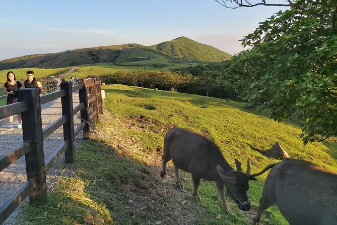 Private Yangmingshan National Park Hiking Day Tour from Taipei - Xiaoyoukeng Recreation Area and the volcanic side of the park