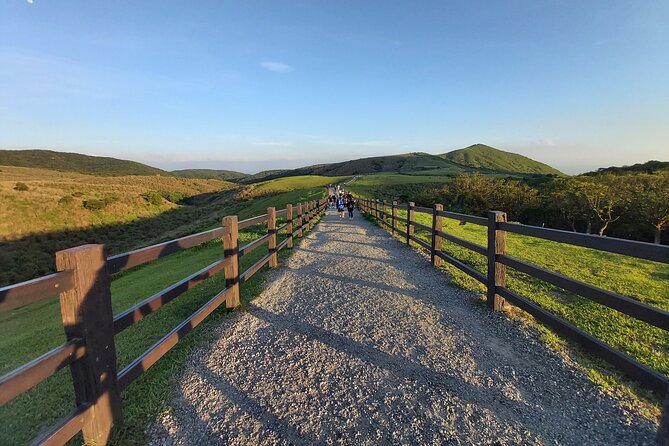Private Yangmingshan National Park Hiking Day Tour from Taipei - Qingtiangang Grassland and wide-open views