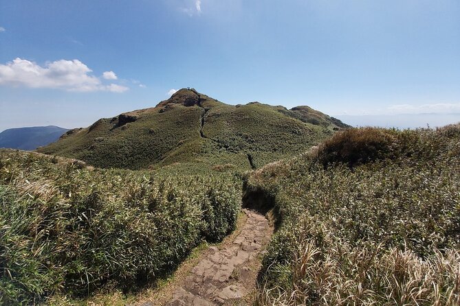 Private Yangmingshan National Park Hiking Day Tour from Taipei - Choosing between the easy, moderate, and challenging routes