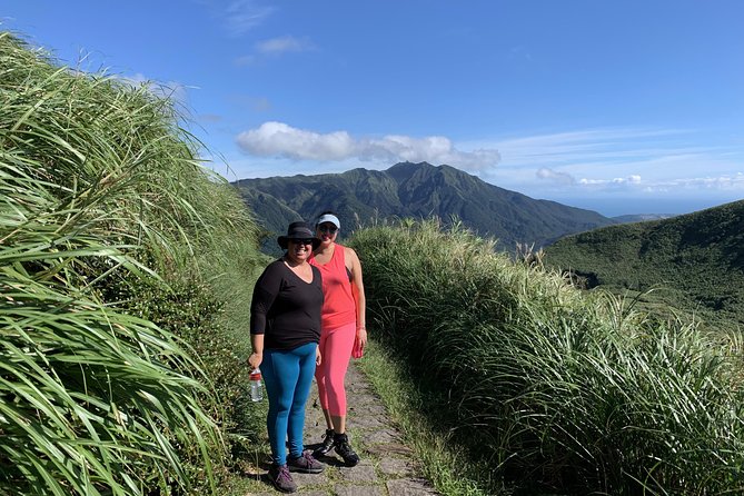 Private Yangmingshan Volcano Tour - Walking the Qingtiangang Grasslands