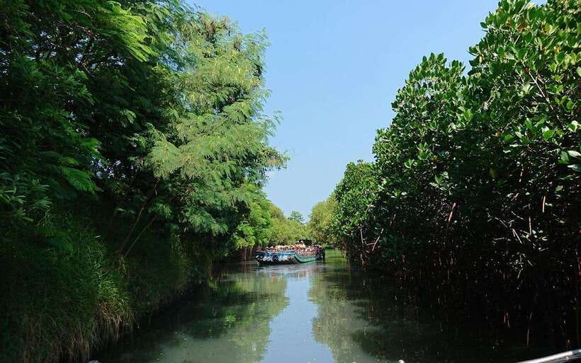 Tainan: Sicao Green Tunnel Scenic Boat Ride - What the Sicao Green Tunnel actually is