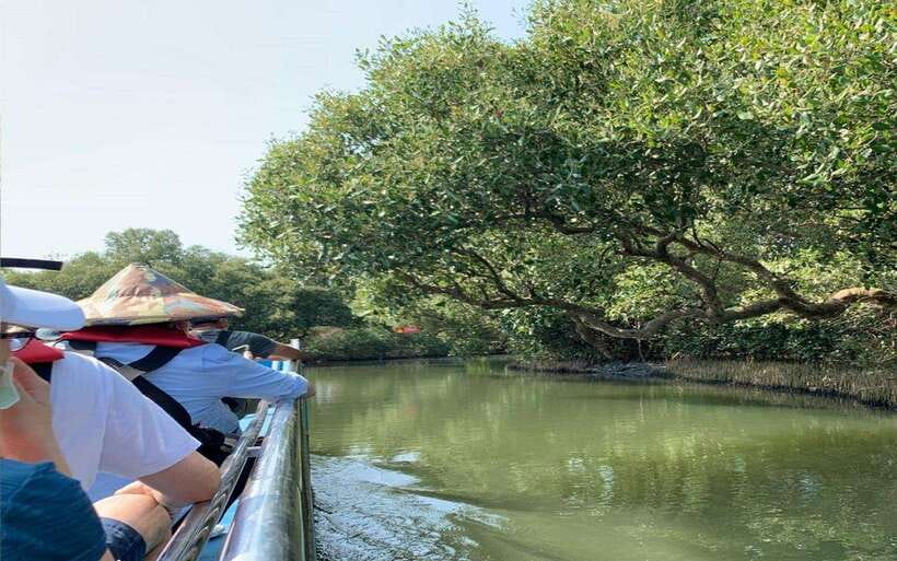 Tainan: Sicao Green Tunnel Scenic Boat Ride - A 30-minute ride under the mangrove canopy