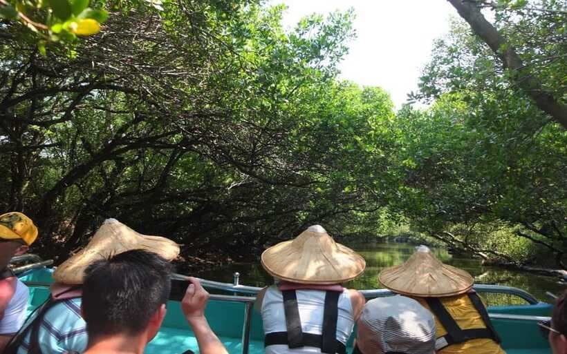 Tainan: Sicao Green Tunnel Scenic Boat Ride - Why the guide language matters