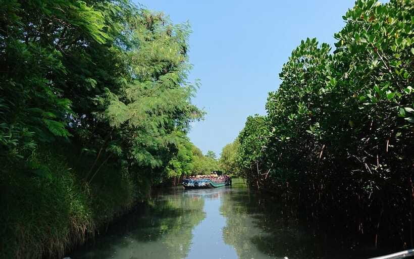 Tainan: Sicao Green Tunnel Scenic Boat Ride - Weather, cancellations, and practical caution