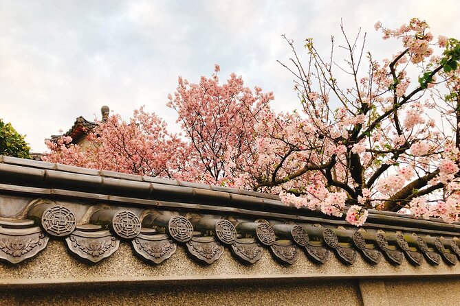 Taipei Cherry Blossom Day Tour to Yangmingshan and Tamsui - Yangmingshan National Park is the main flower stop
