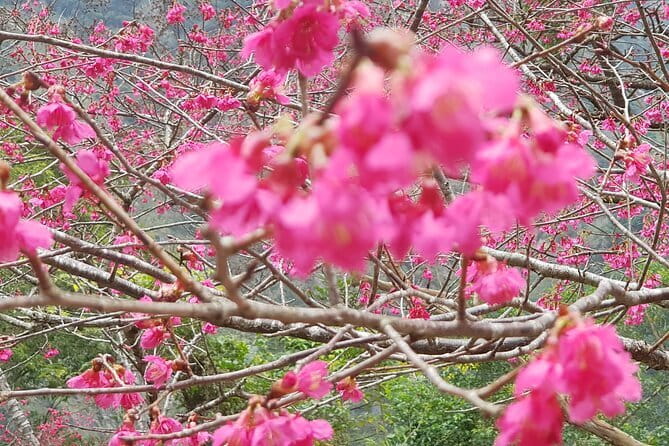 Taipei City to Taoyuan Airport Private Transfer - Communication before the ride
