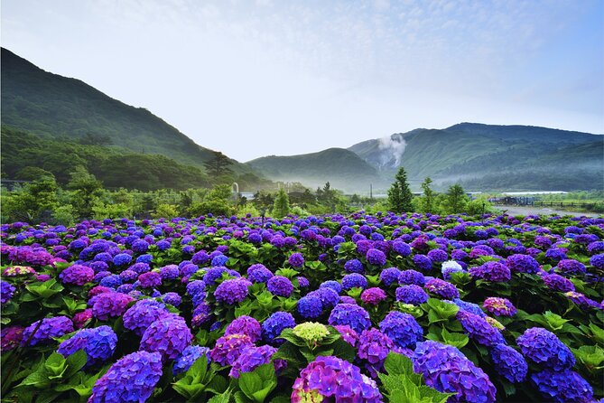 Taipei Customize Your Private Day Tour with Driver Guide - Why a custom tour can make sense in Taipei