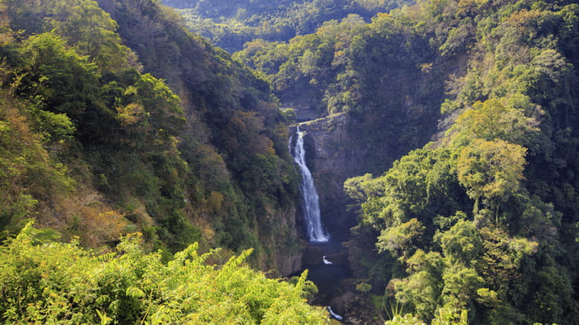 Taipei: Daxi Old Street and Tea Factory, Xiaowulai Day Tour - Xiaowulai Skywalk: Start Above the River Valley