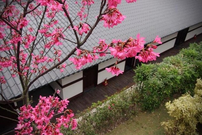 Taipei Day Tour including Taipei 101, Din Tai Fung and Hot Spring Experience - Who should book this experience?