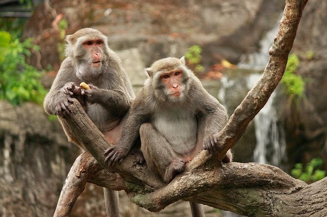 Taipei: Private Car Charter Tour - Key points at a glance