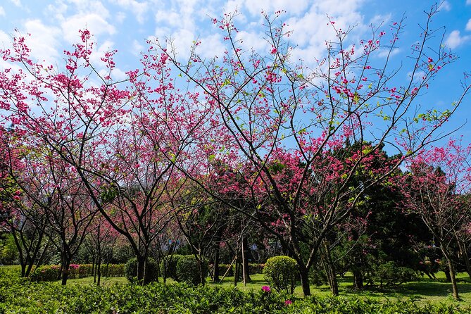 Taipei Timeout: Private 8-Hour Layover Adventures - Taipei 101 gives you the big city view