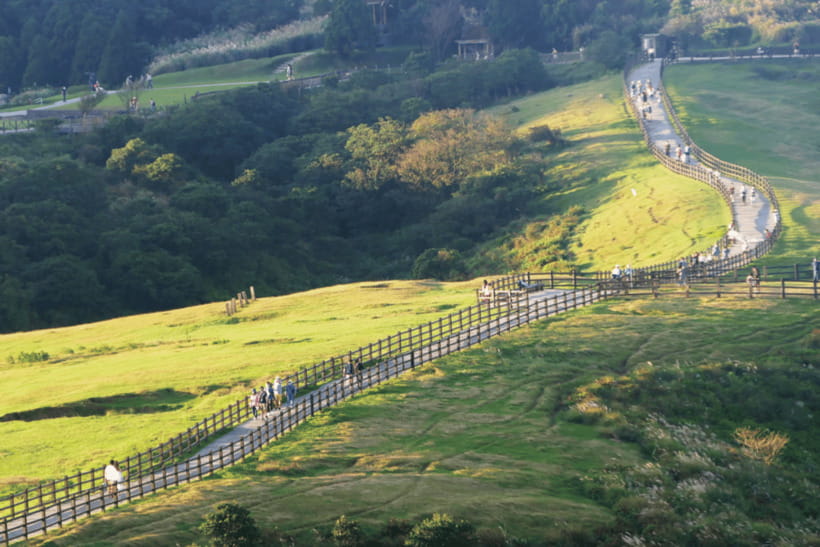 Taipei: Yangmingshan & Beitou Full-Day Tour - How good is the guiding?