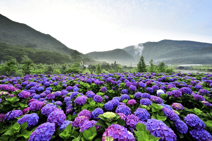 Taipei: Yangmingshan, Shifen, Jiufen & Yehliu Private Tour - Shifen Waterfall ends the day with sound