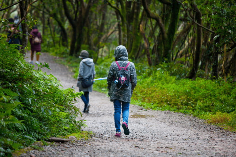 Taipei: Yangmingshan, Shifen, Jiufen & Yehliu Private Tour - What the private guide adds