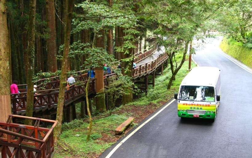 Taiwan: Alishan National Forest Recreation Area E-ticket - Walking among ancient Taiwan Red Cypress trees