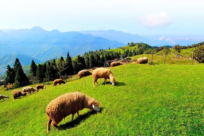 Taiwan Multi-Day Classic Tour - What the $2,600 price really buys