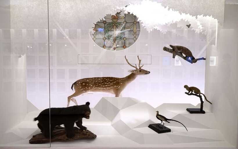 Taiwan Museum, MOCA Taipei & Miniatures Museum Entry Tickets - Cancellation, payment, and accessibility