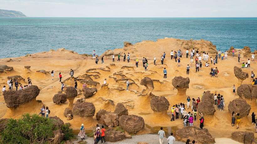 Taiwan Taipei: Customized Private Tour - English guiding that reduces travel stress