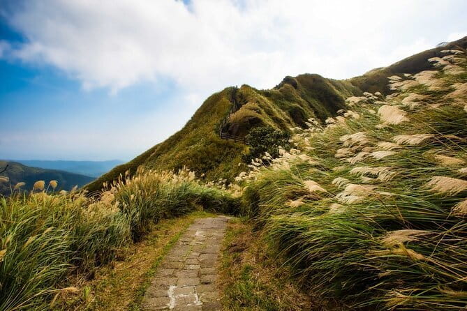 Taiwan TST : Private Tour Taipei, Yangmingshan, Beitou, Tamsui - What this private Taipei day actually offers