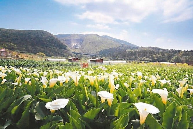 Taiwan TST : Private Tour Taipei, Yangmingshan, Beitou, Tamsui - Tamsui’s colonial fort and riverfront