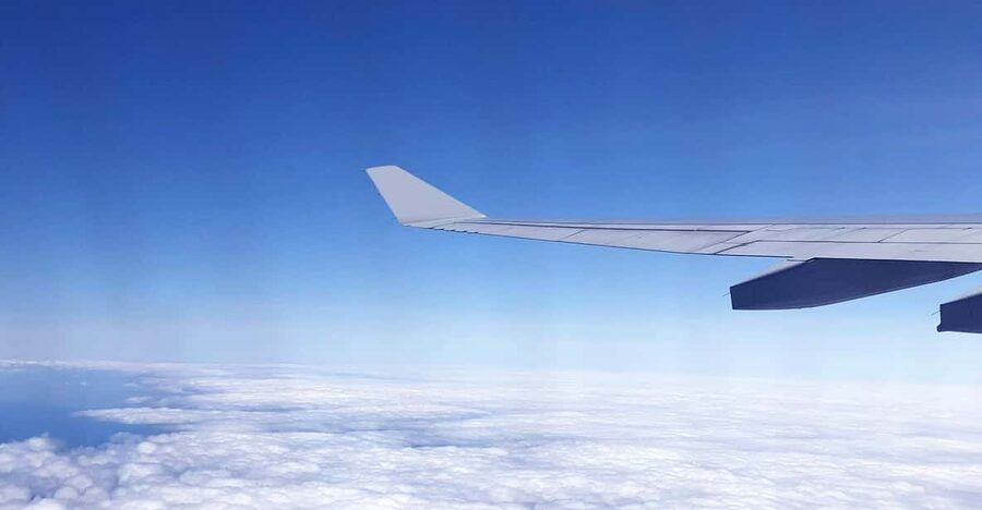 Taoyuan Airport: Layover Taipei City Tour - What the guides add to the experience