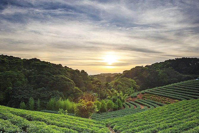 Tea of Taipei: Small-Group Tour with Taipei City Sightseeing - Key points to know before you book
