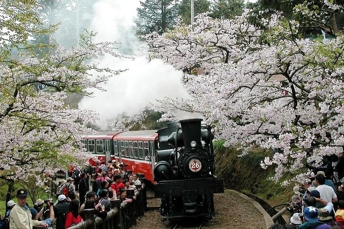 Two-day Sun Moon Lake & Alishan Forest Park Tour Package - Why this two-day route is appealing