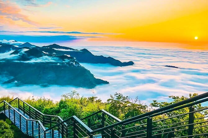 Vintage Taipei - Best of Taiwan & Sunset Walking Tour (Tip-based) - The Chinese herbal and dried-goods market