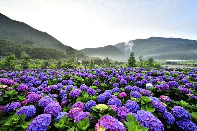 Yangmingshan, Yehliu, Jiufen & Shifen Private Tour From Taipei - Why this Northern Taiwan day trip works