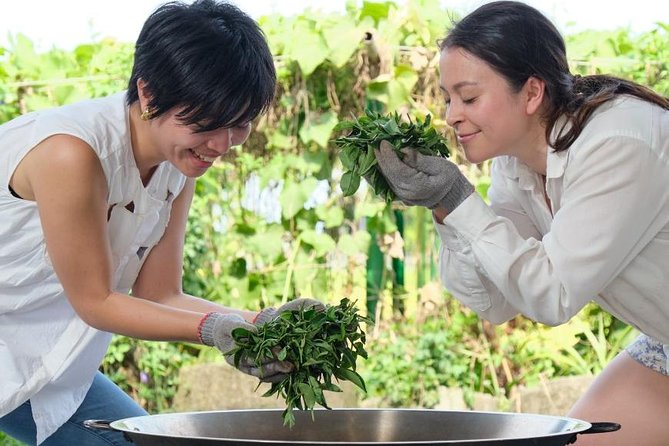 Yilan Rural Tea Picking Experience from Taipei City - Craft beer and tea beer at an award-winning brewery