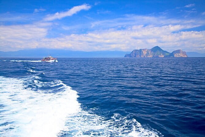 Yilan Whale Watching and Animal Farm Private Tour from Taipei - Key Points to Know Before You Go
